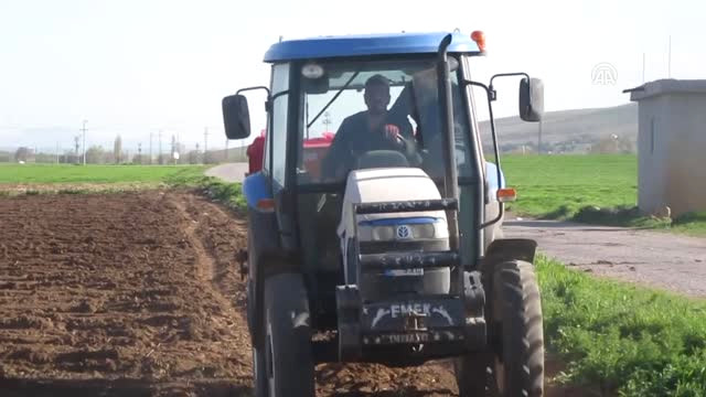 Sandıklı’da Patates Ekimi Başladı
