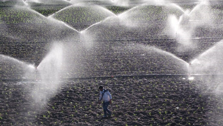 Ziraî sulamada milat: Çiftçinin faturasının yarısını devlet ödeyecek
