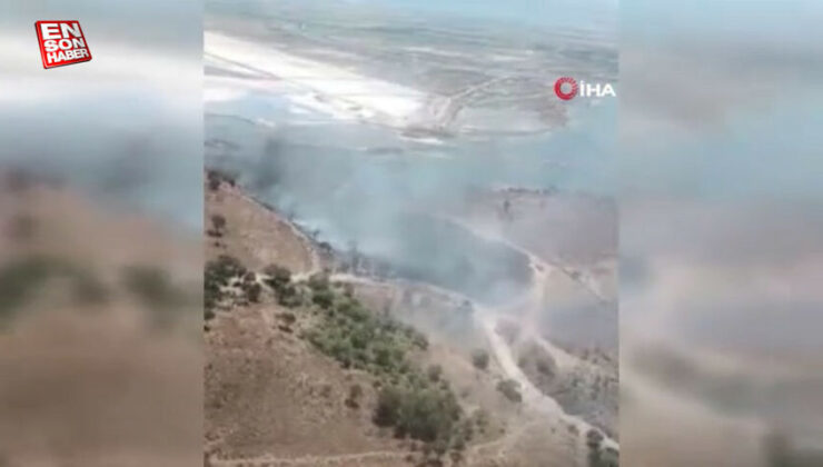 İzmir ve Manisa’da 9 orman yangını denetim altına alındı