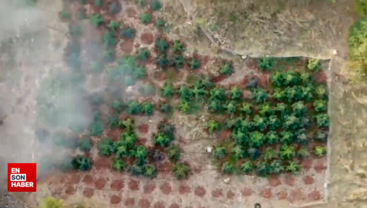 32 vilayette Narkogüç operasyonu: 199 kuşkulu yakalandı