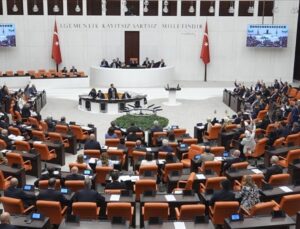 Sahipsiz hayvanlara yönelik kanun teklifinin birinci 5 hususu kabul edildi