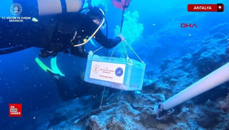 Antalya’da su altı hafriyatında 3 bin 600 yıllık hançer bulundu