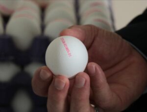 Yumurtaların üzerindeki numaralar tavuğun yetiştirilme metodunu gösteriyor