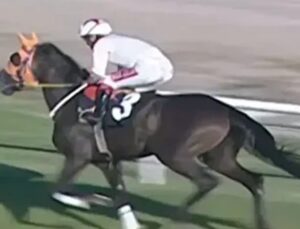 Mersin’de kavurma yapılan at, İngiliz gazetelerine manşet oldu