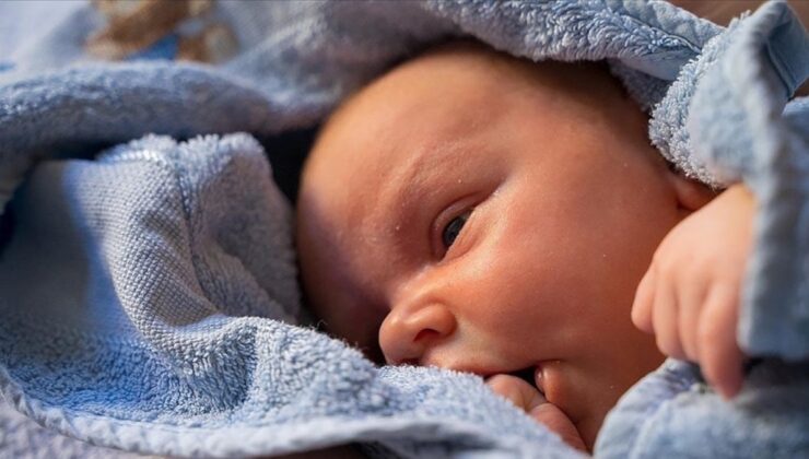 Kısırlık tedavisinde yeni periyot: Yapay zeka sperm buluyor