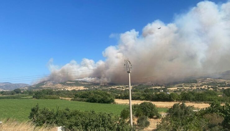 Çanakkale’de orman yangını