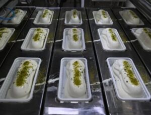 Türk dondurmaları dünya pazarında yükseliyor: 4 ayda 23,5 milyon dolara ulaştı